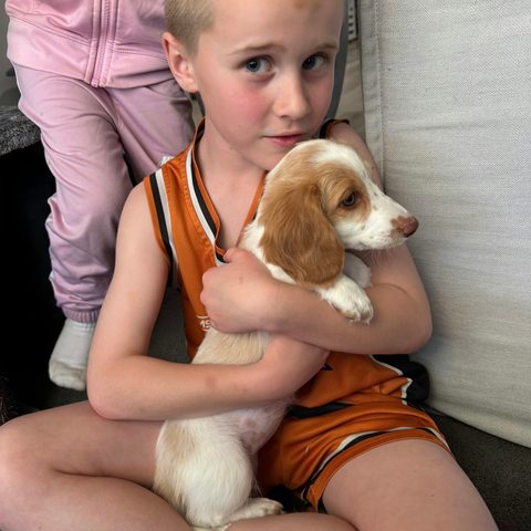 Teagan H