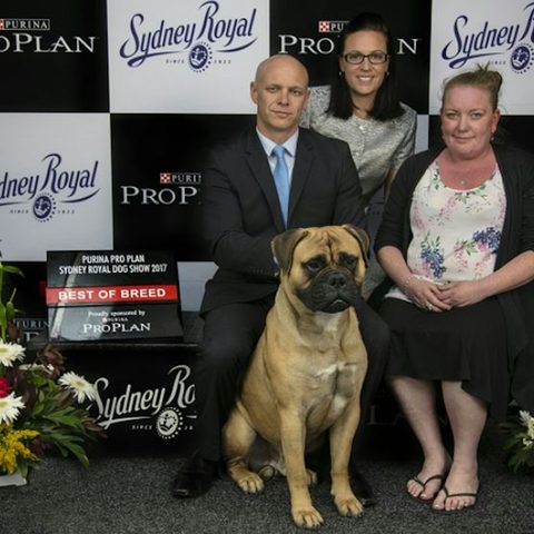 Brooke and Glenn Sparham