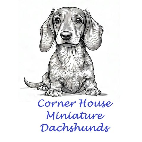 Jillian Sparshott